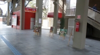 Lopes Kalil - ESTAÇÃO POÁ - LINHA 11 - CORAL 
